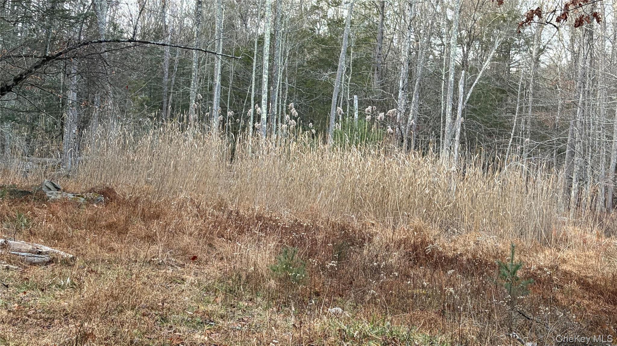 #6 photo, X Aldrich Road, Wurtsboro , NY 12790