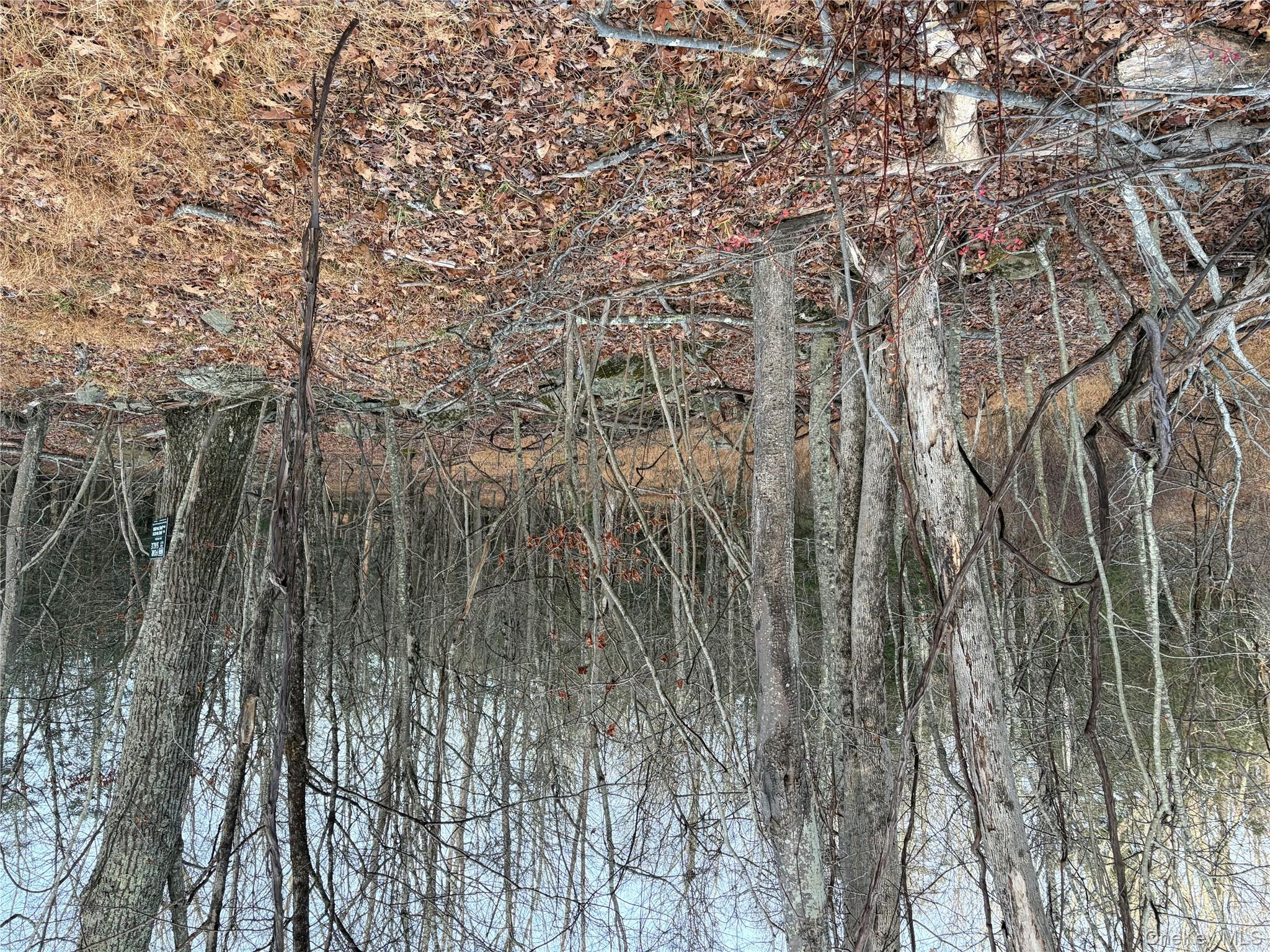 #8 photo, X Aldrich Road, Wurtsboro , NY 12790