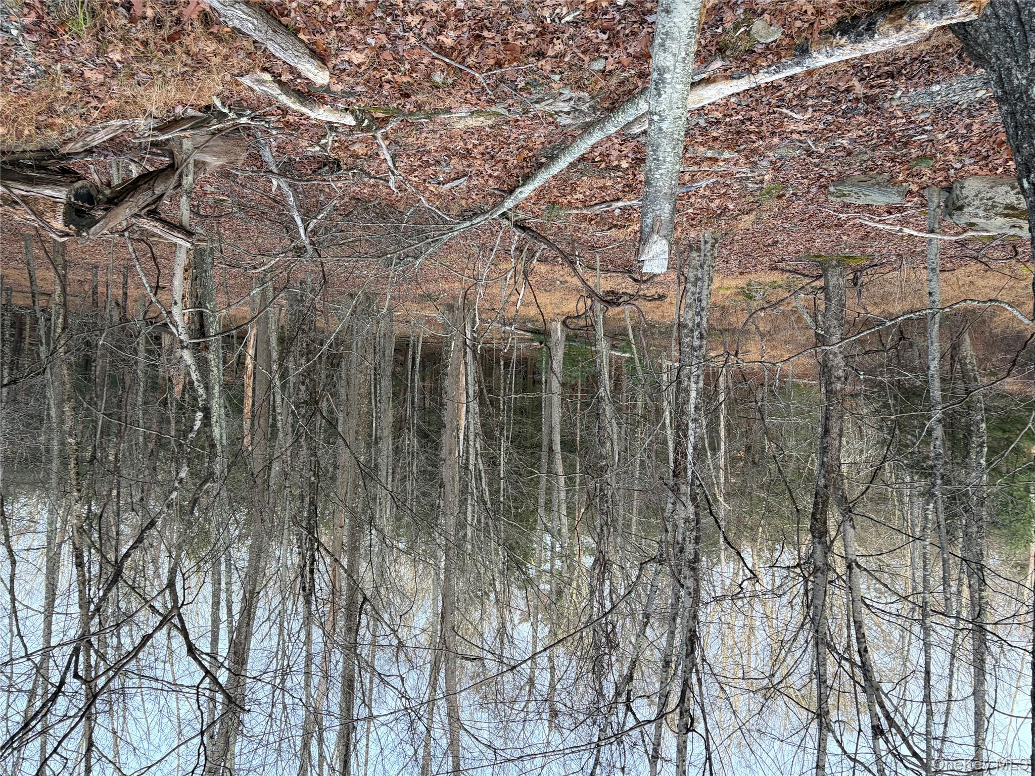 #9 photo, X Aldrich Road, Wurtsboro , NY 12790