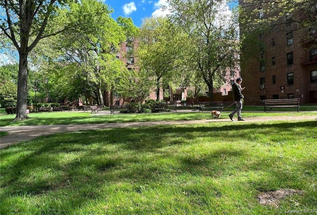 #14 photo, 150-29 72 Garden, קווינס Kew Garden Hills , NY 11367