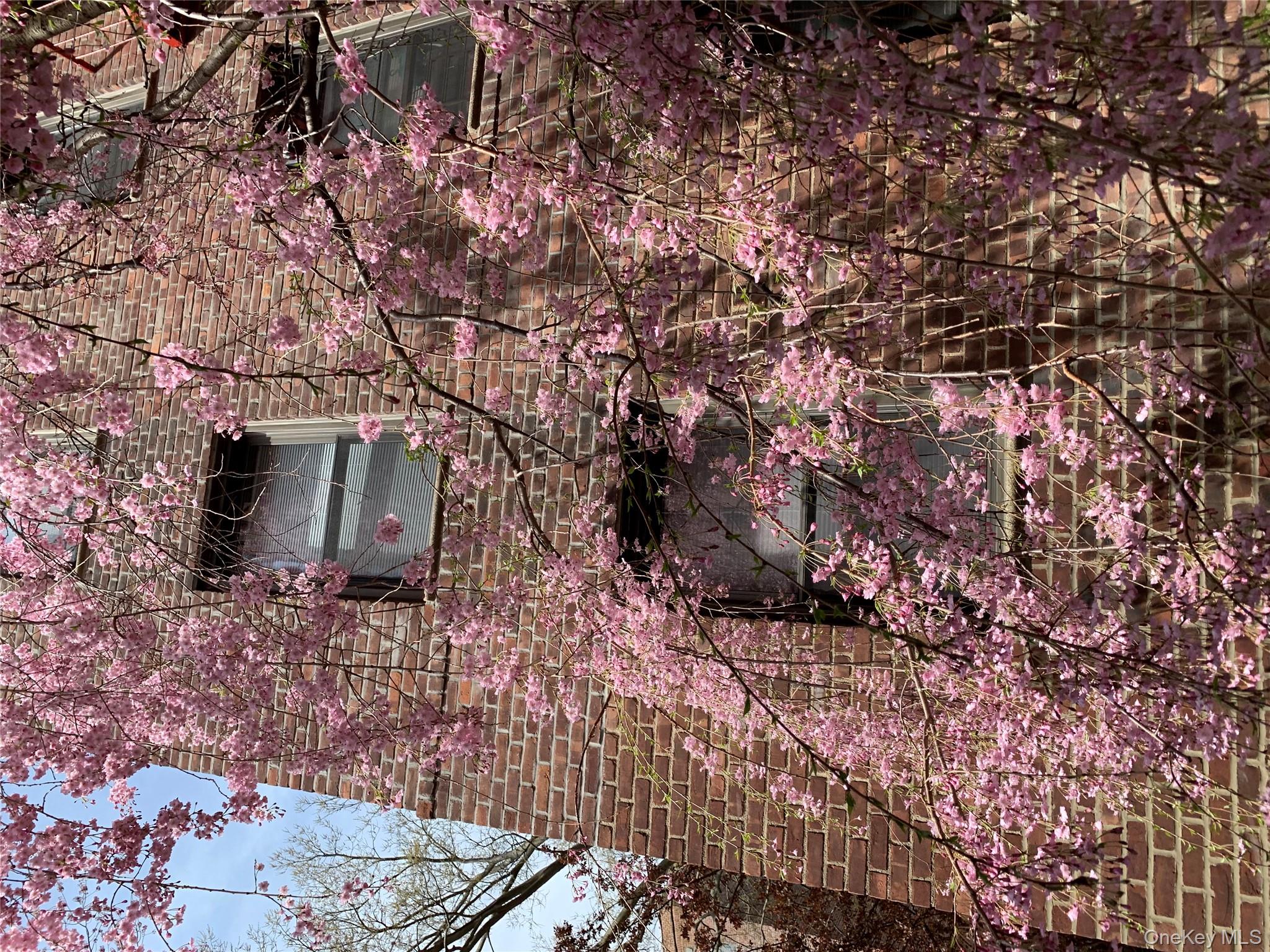 #16 photo, 150-29 72 Garden, קווינס Kew Garden Hills , NY 11367