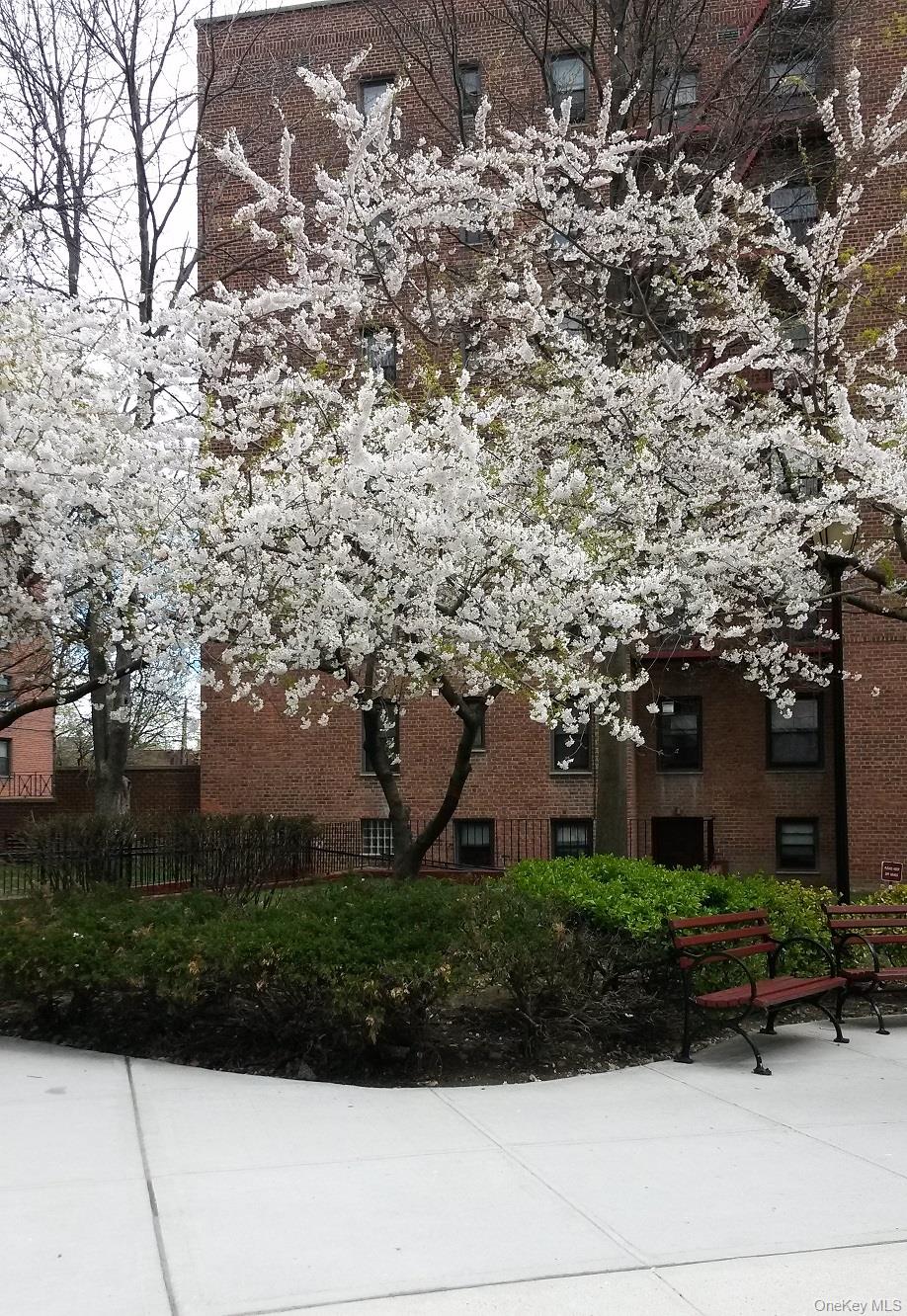 #3 photo, 150-29 72 Garden, קווינס Kew Garden Hills , NY 11367