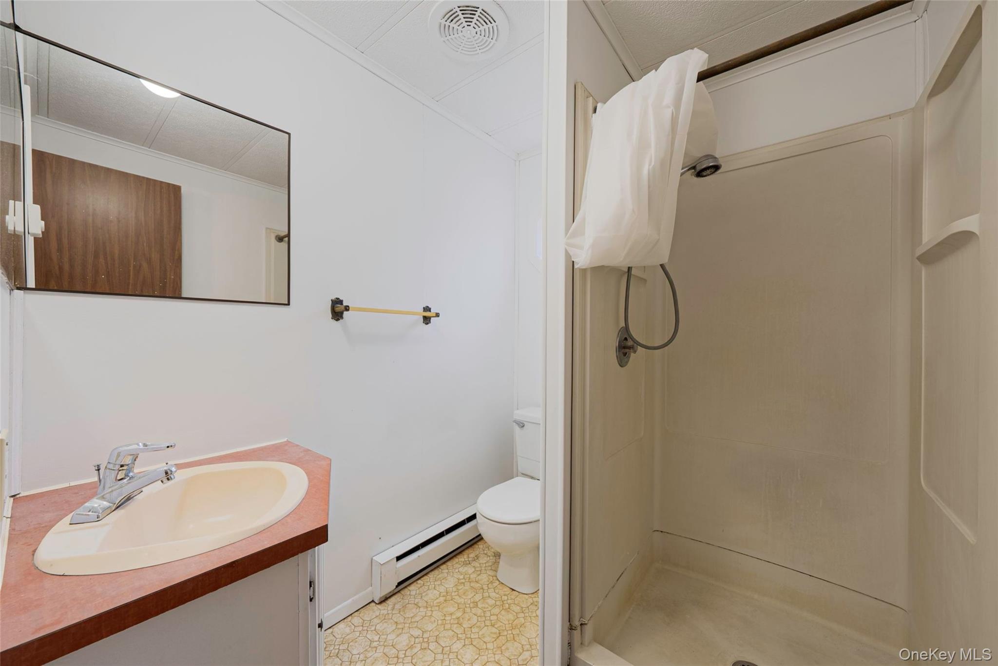 #19 photo, 22 Limetree Drive, Manorville , NY 11949