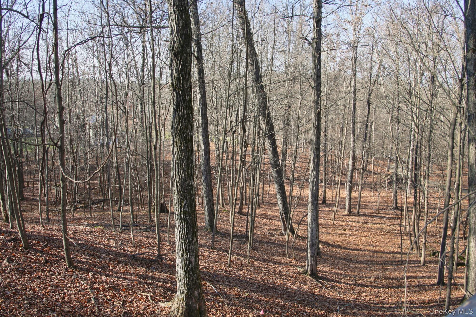 #10 photo, Electronics Road, 纽约州 Clinton Corners , NY 12514