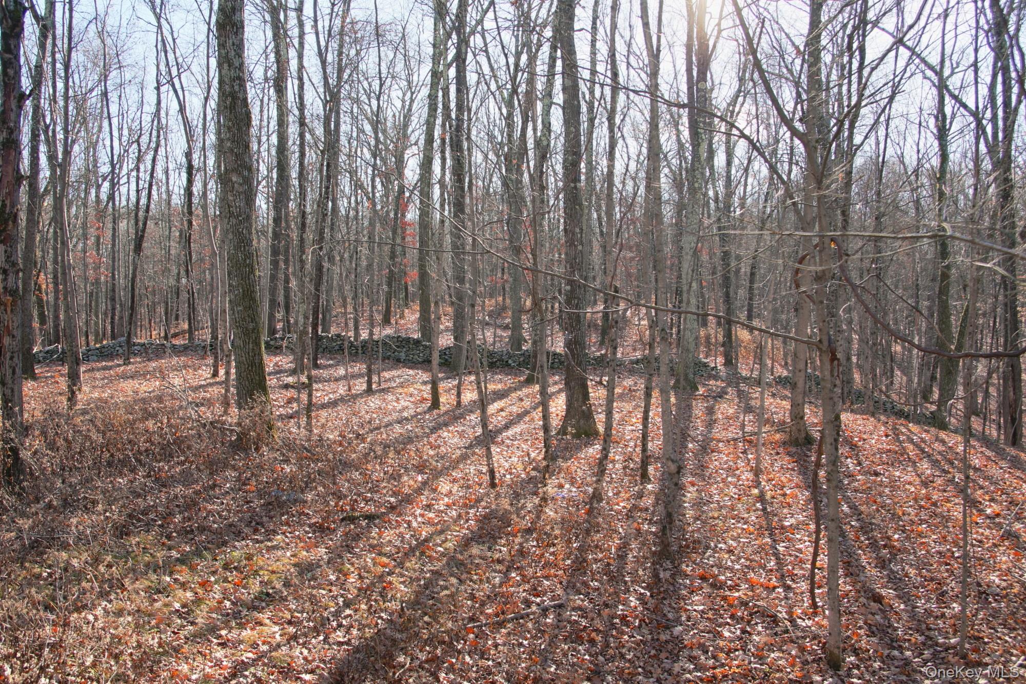 #11 photo, Electronics Road, 纽约州 Clinton Corners , NY 12514