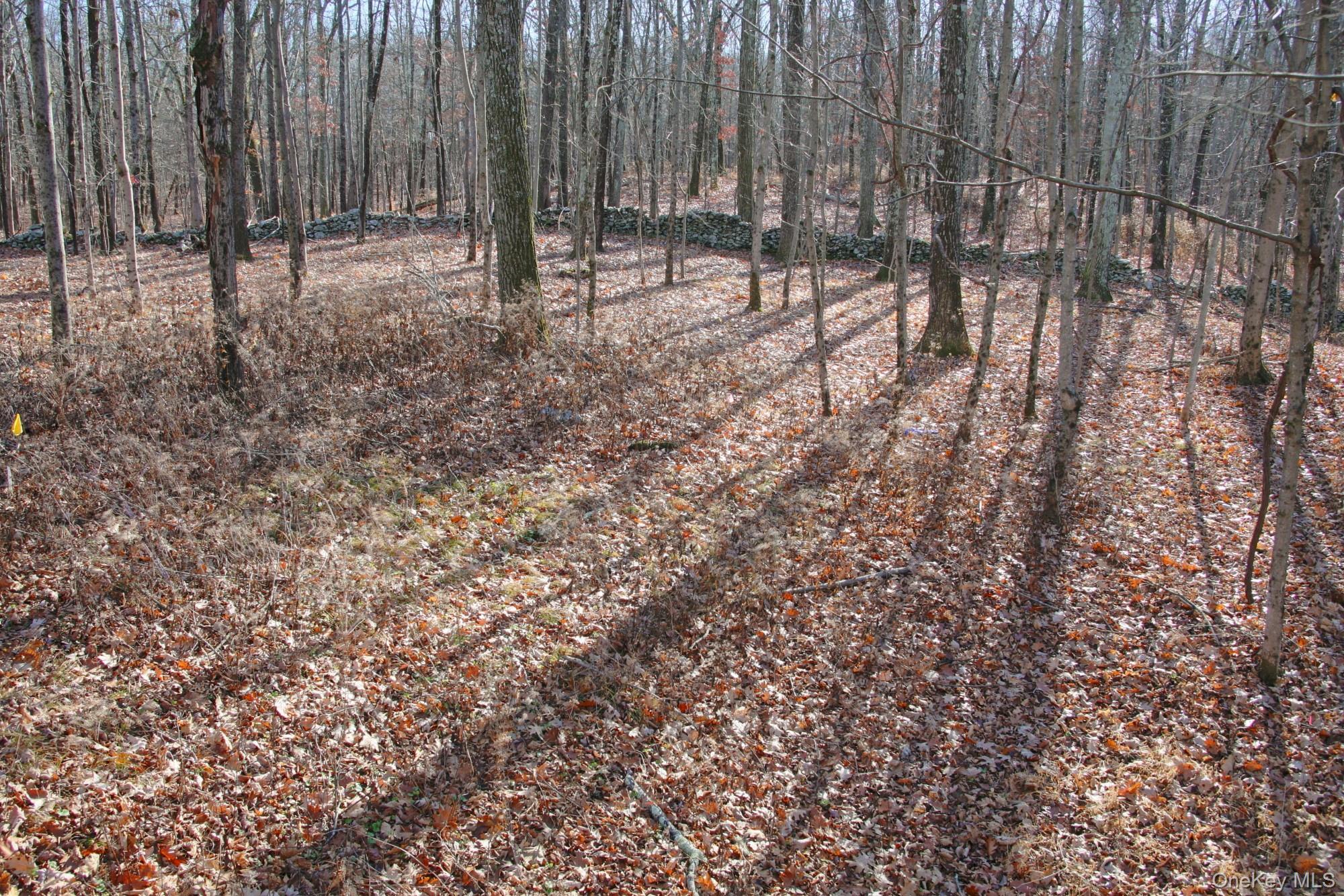 #12 photo, Electronics Road, 纽约州 Clinton Corners , NY 12514