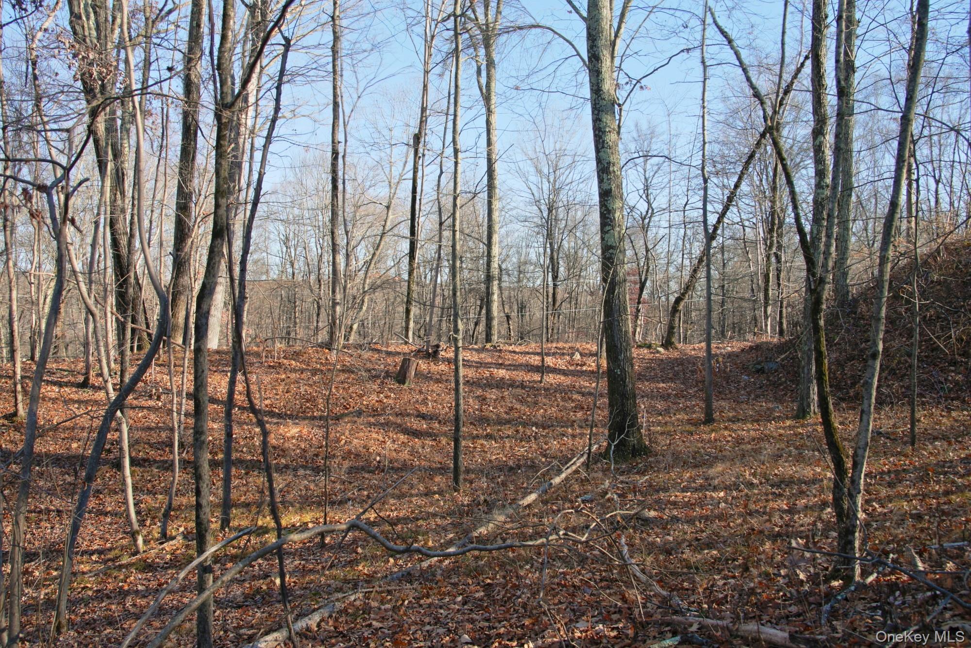 #13 photo, Electronics Road, 纽约州 Clinton Corners , NY 12514