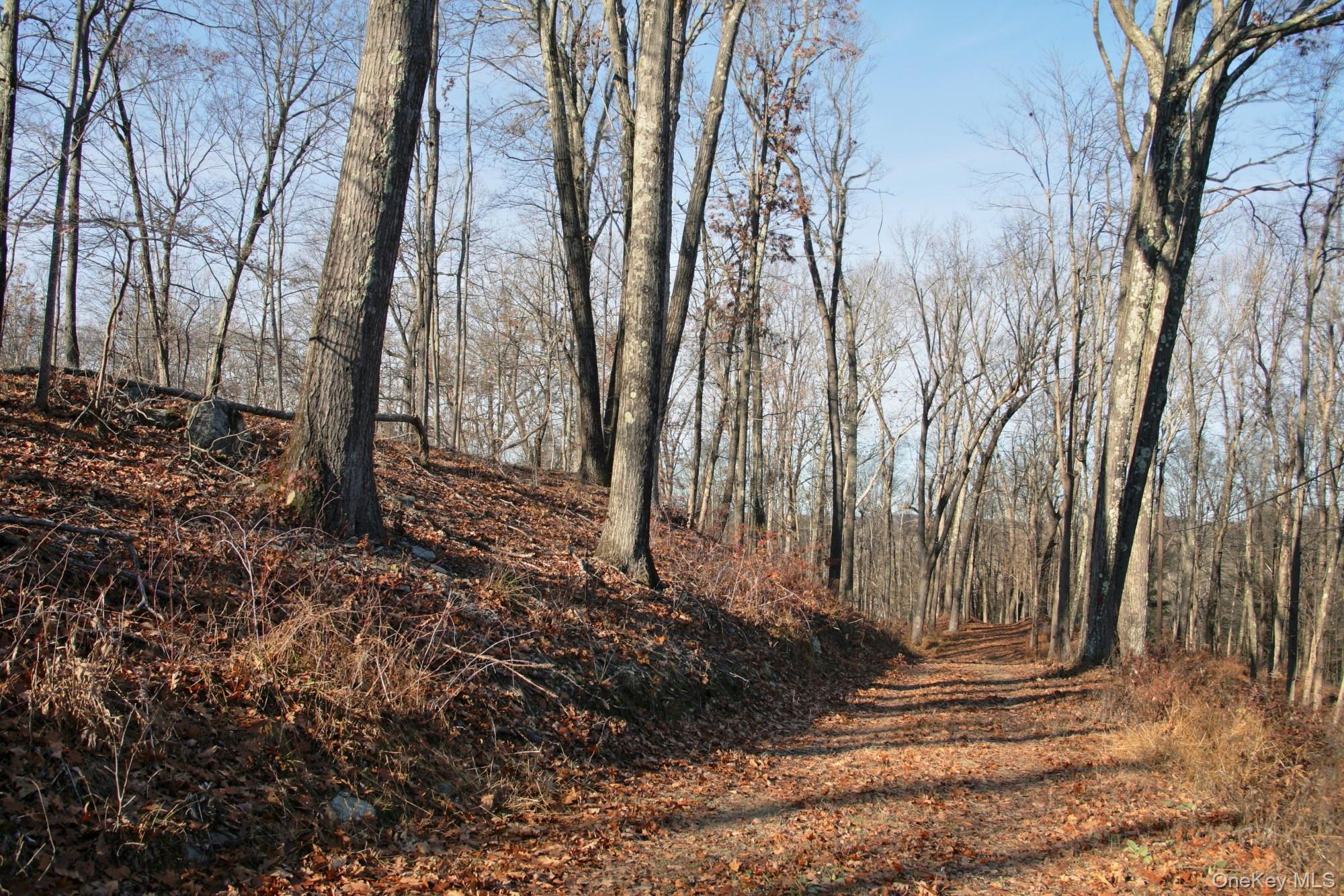 #14 photo, Electronics Road, 纽约州 Clinton Corners , NY 12514