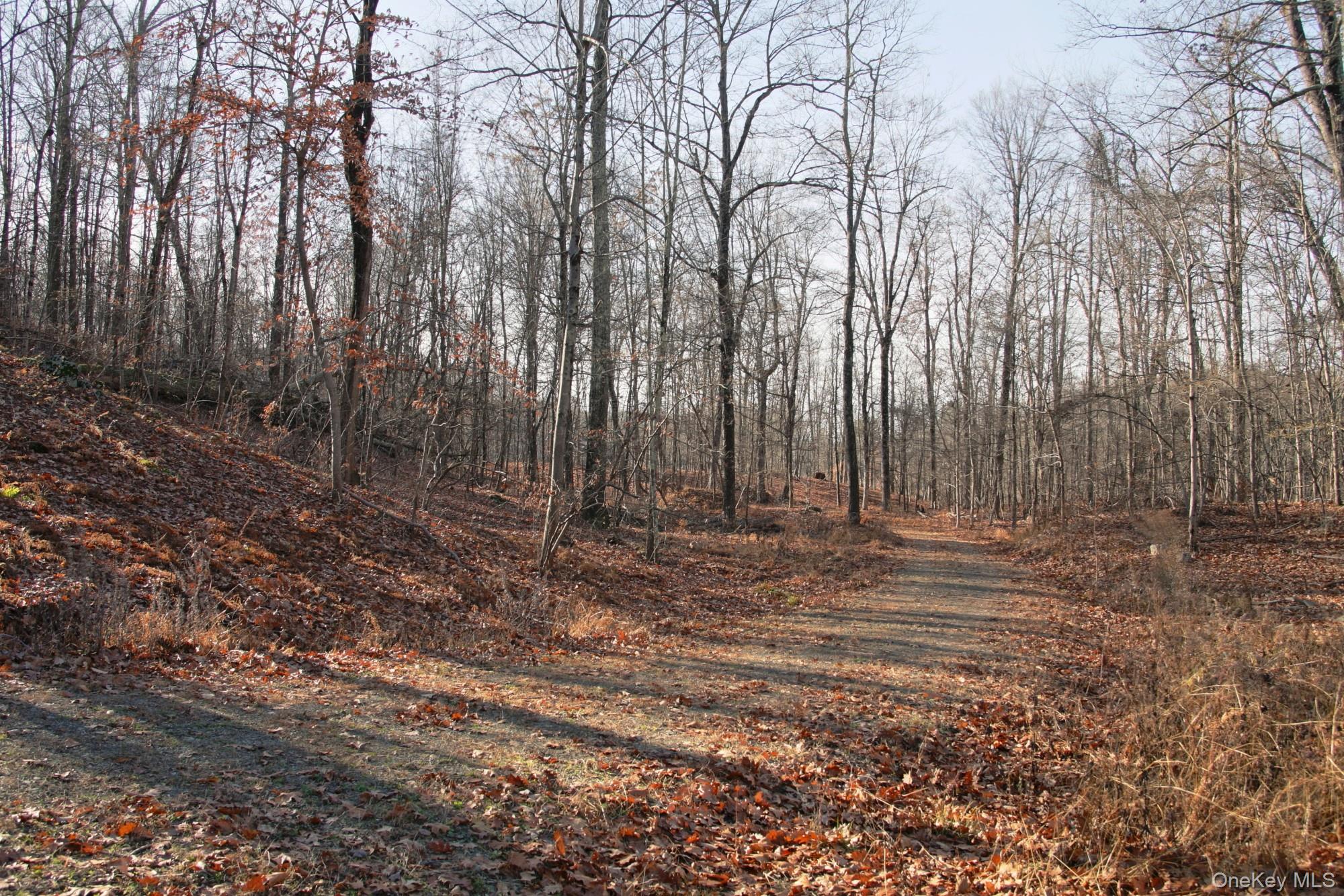 #15 photo, Electronics Road, 纽约州 Clinton Corners , NY 12514