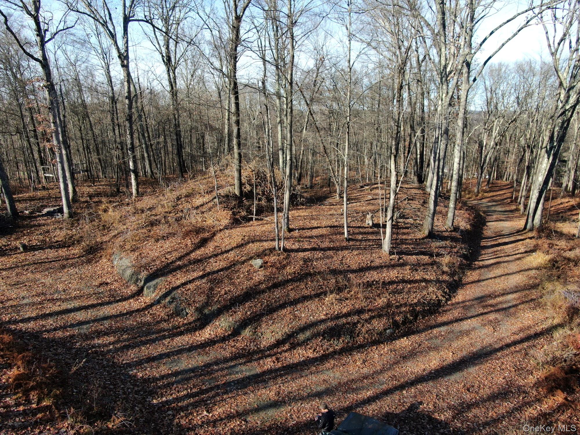 #18 photo, Electronics Road, 纽约州 Clinton Corners , NY 12514