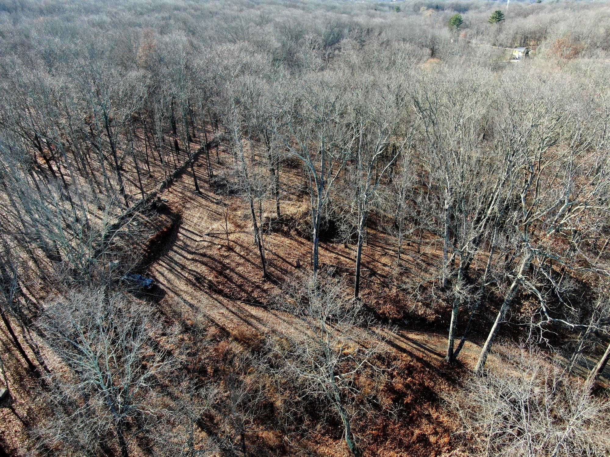 #19 photo, Electronics Road, 纽约州 Clinton Corners , NY 12514