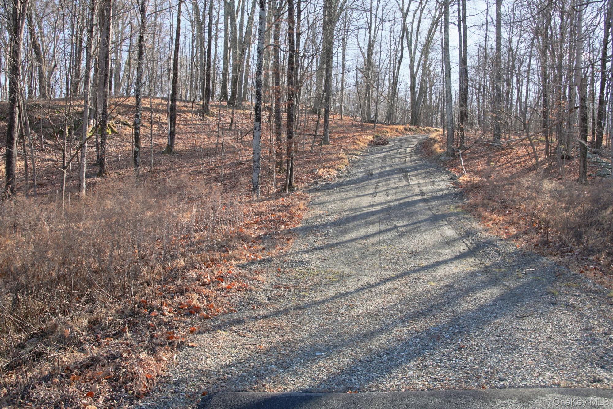 #3 photo, Electronics Road, 纽约州 Clinton Corners , NY 12514