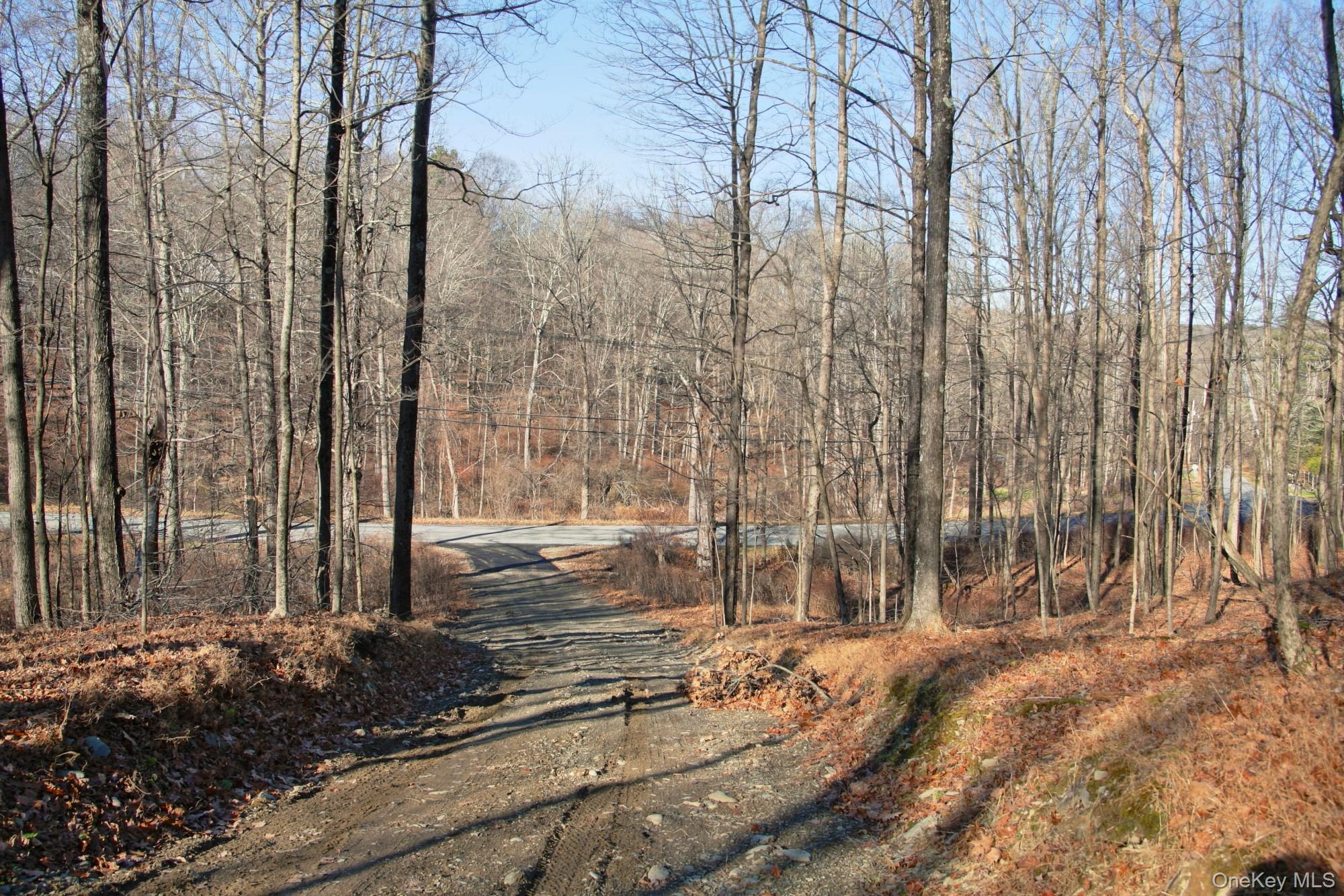 #4 photo, Electronics Road, 纽约州 Clinton Corners , NY 12514