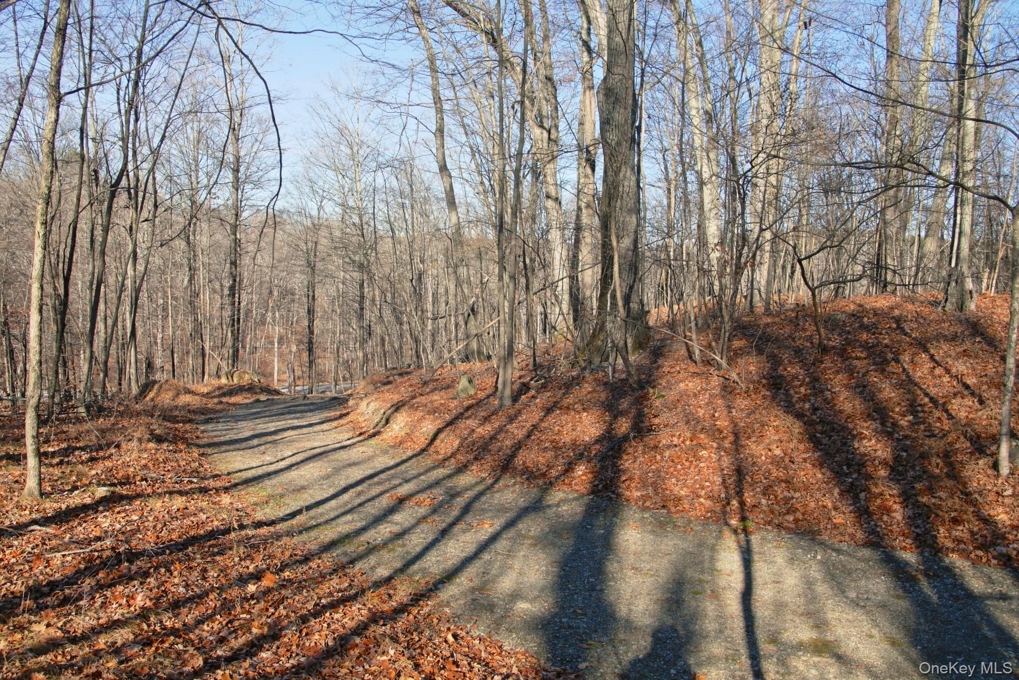 #6 photo, Electronics Road, 纽约州 Clinton Corners , NY 12514