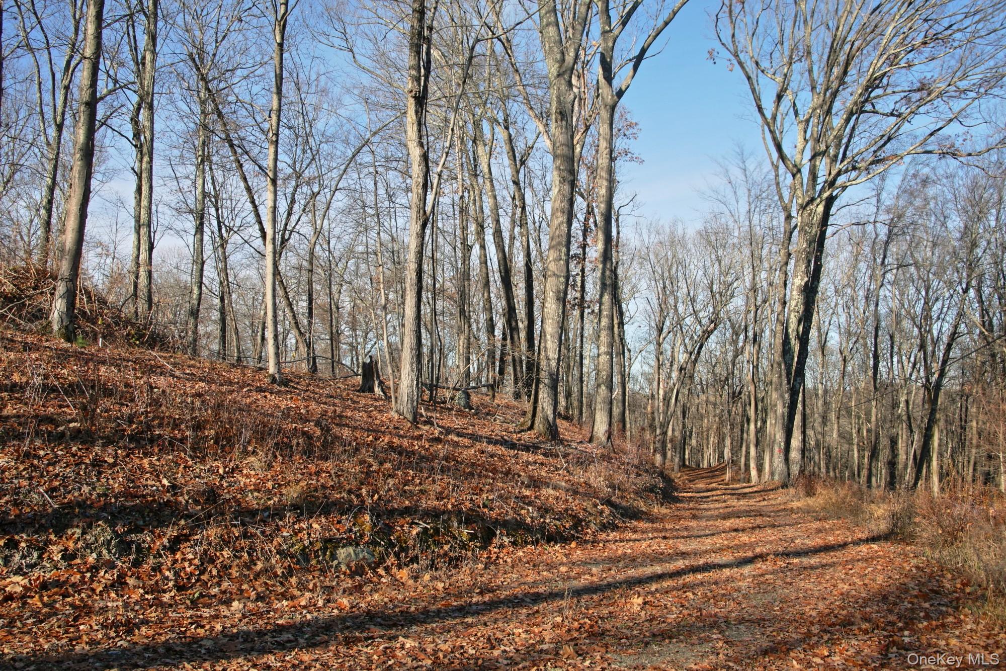 #7 photo, Electronics Road, 纽约州 Clinton Corners , NY 12514