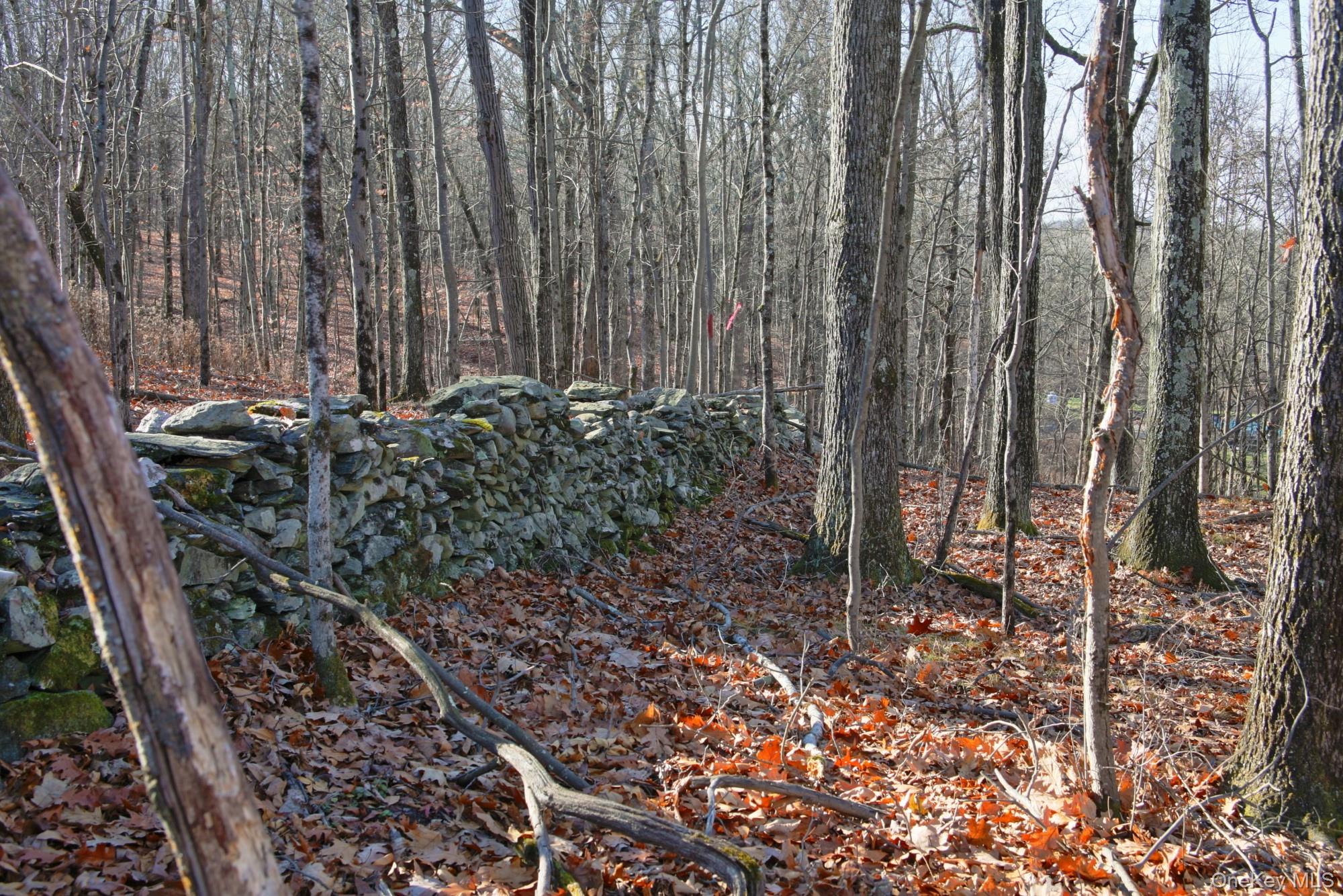 #8 photo, Electronics Road, 纽约州 Clinton Corners , NY 12514