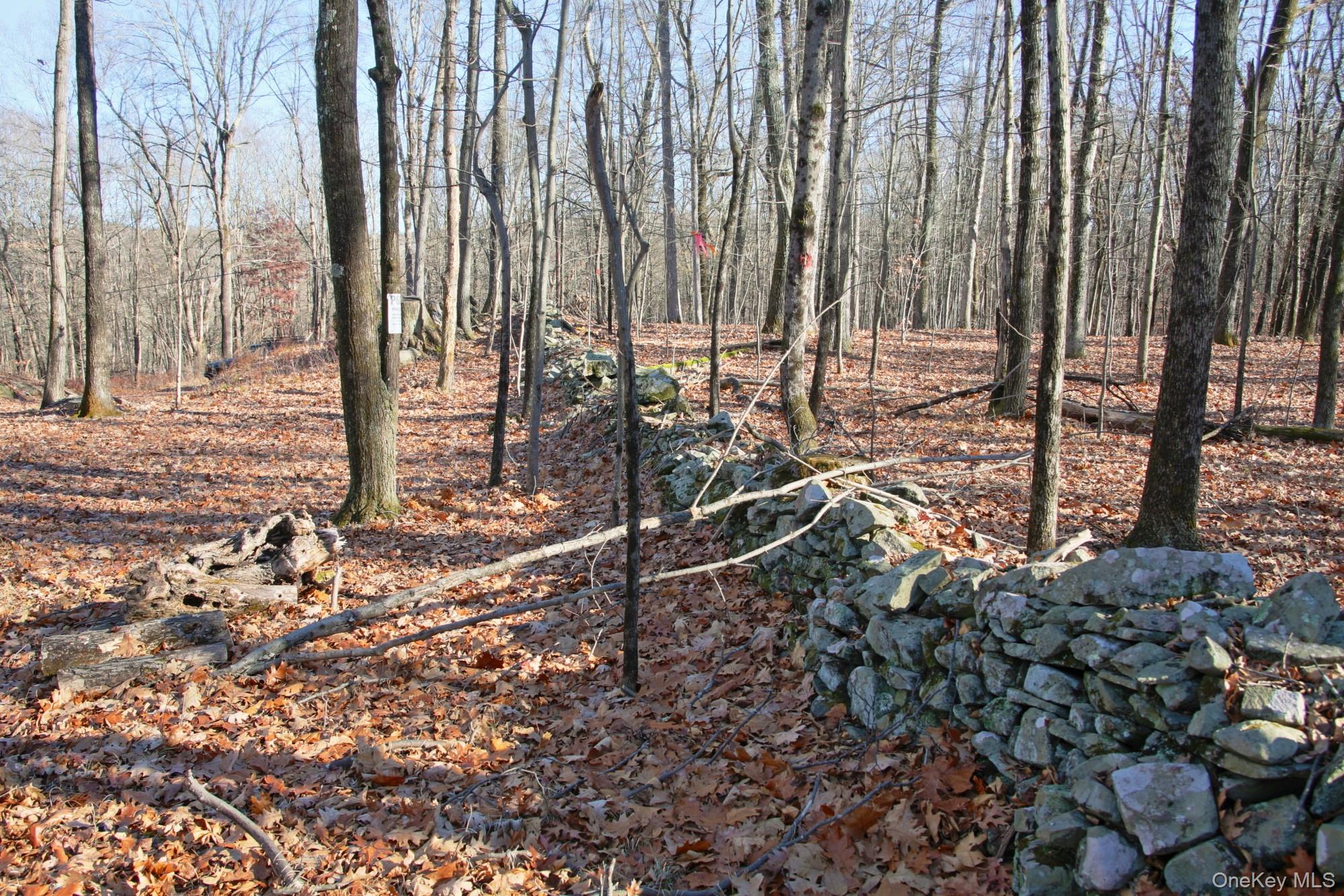 #9 photo, Electronics Road, 纽约州 Clinton Corners , NY 12514