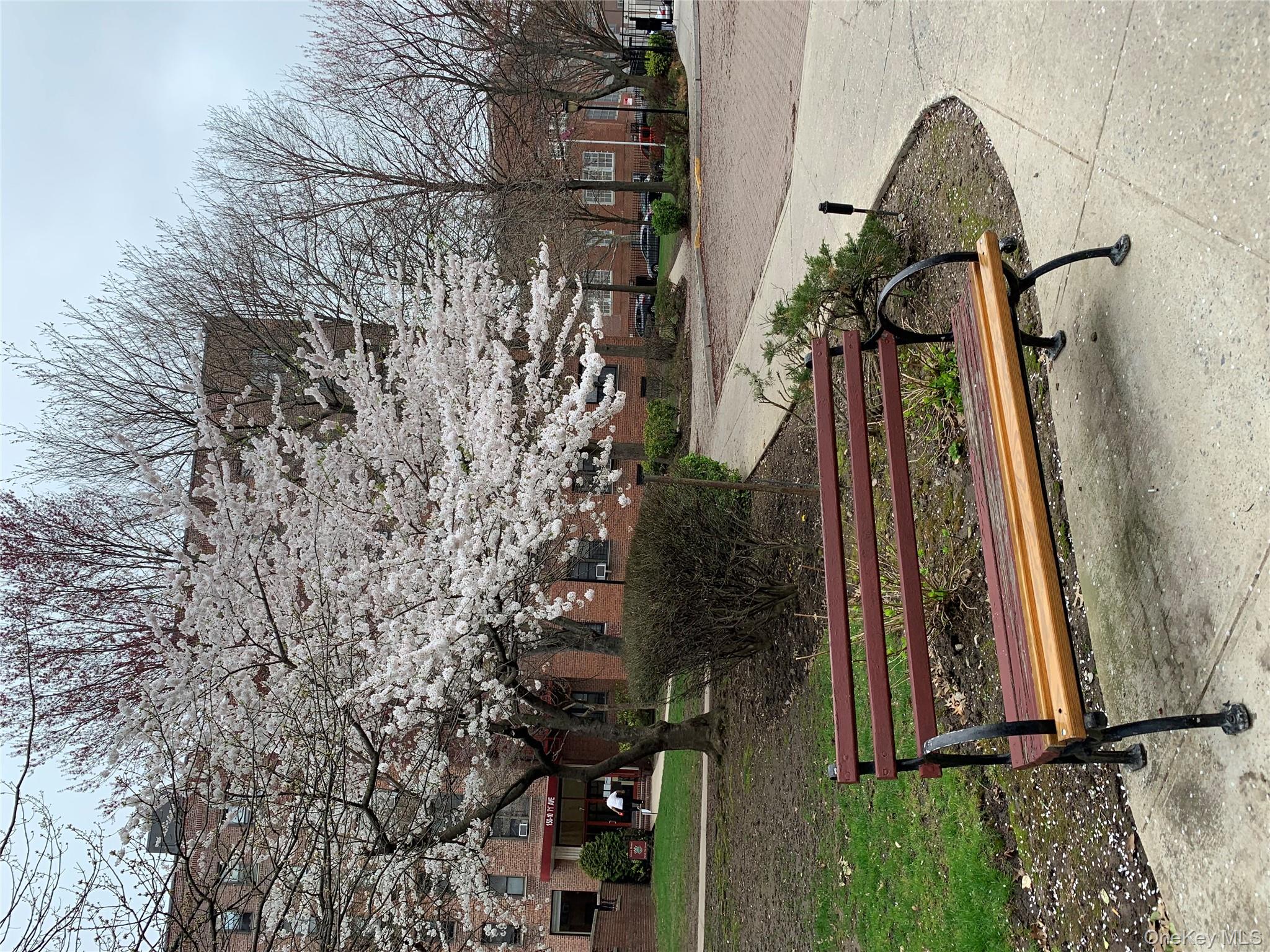 #3 photo, 150-25 72 Road, Куинс ‖ Flushing , NY 11367