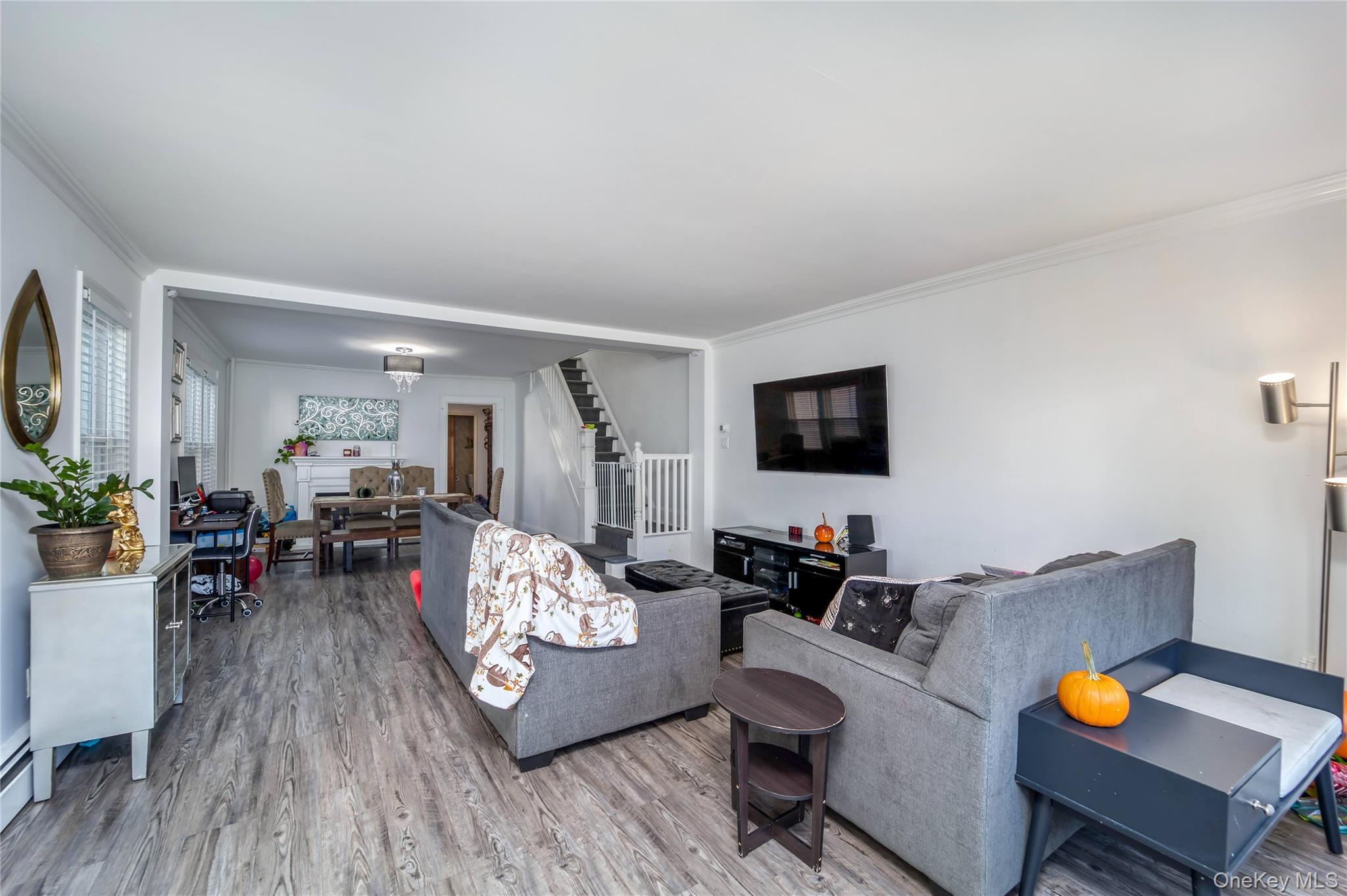 #3 photo, 92-57 246th Street, 长岛 花卉园 Floral Park , NY 11001