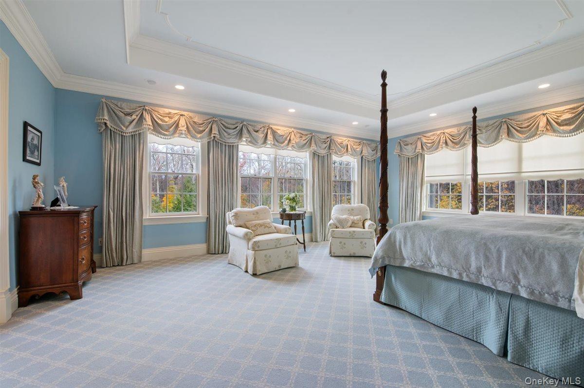 #19 photo, 6 La Colline Drive, 长岛 Mill Neck , NY 11765