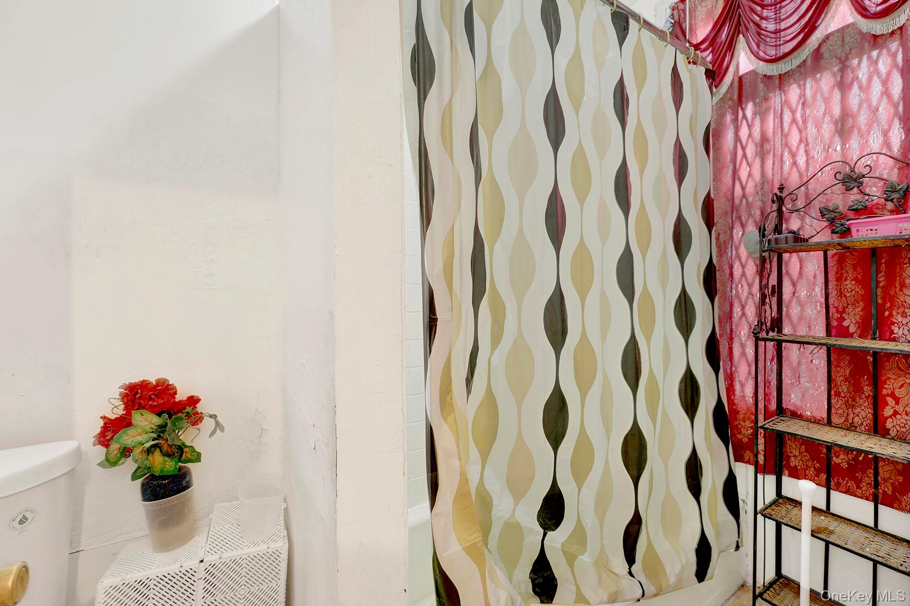 #20 photo, 443 Marion Street, Brooklyn , NY 11233