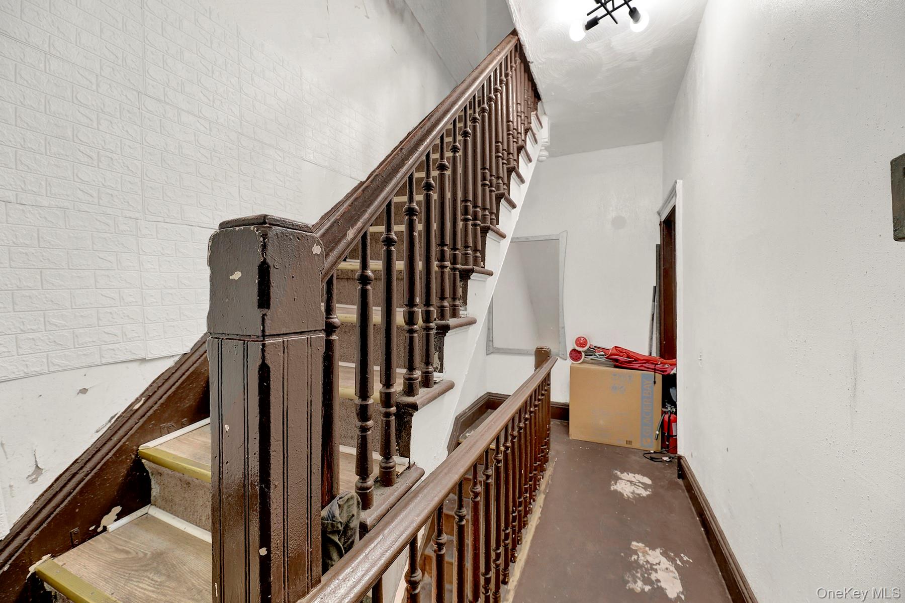 #6 photo, 443 Marion Street, Brooklyn , NY 11233