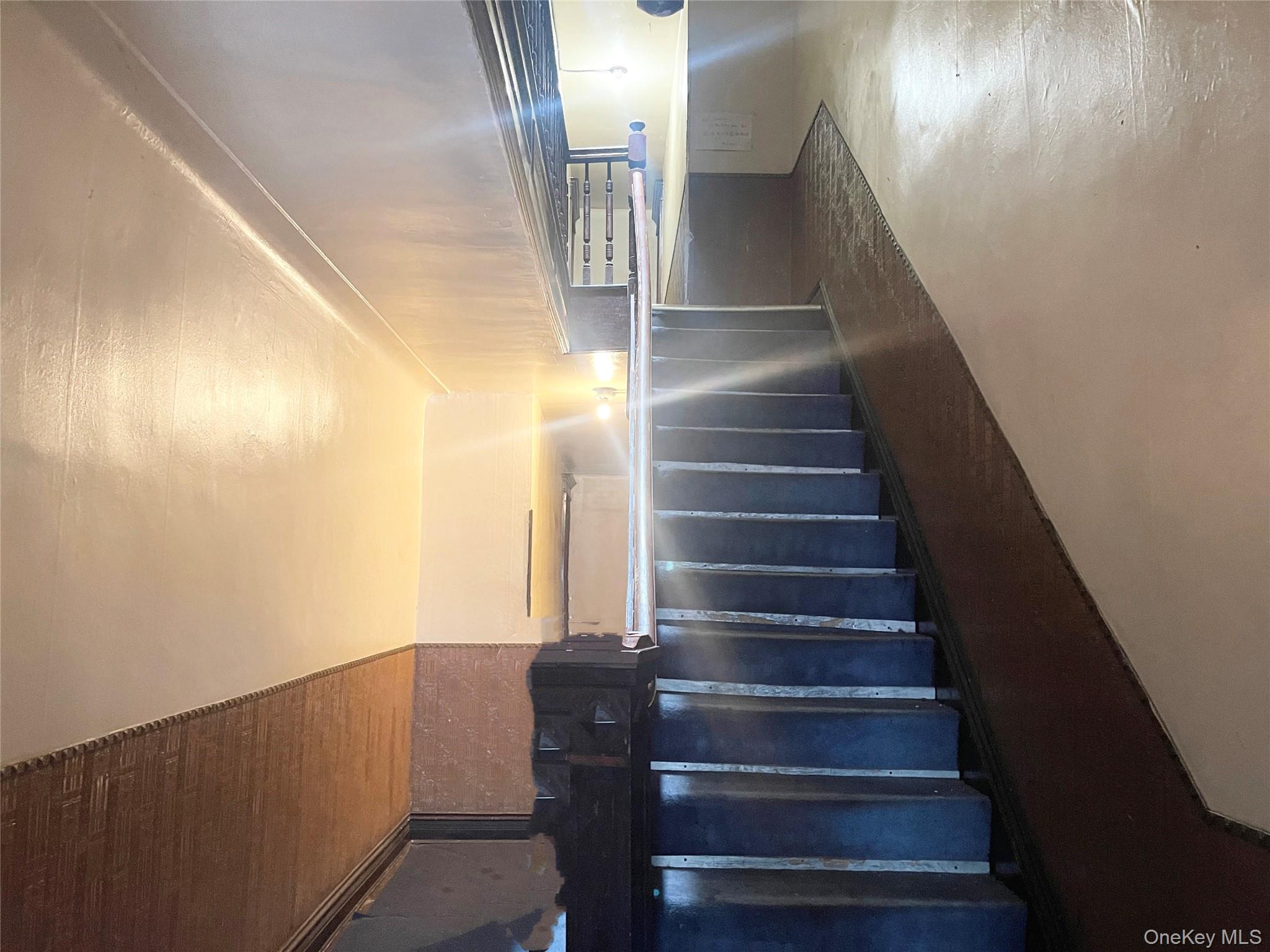 #3 photo, 1881 Putnam Avenue, 뉴욕퀸즈 Ridgewood , NY 11385