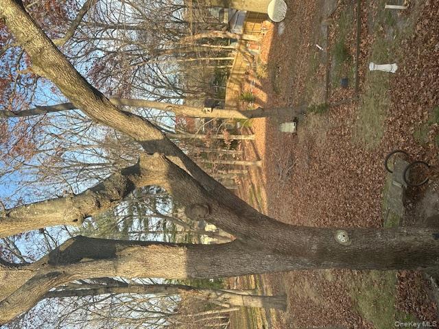 #10 photo, 147 Pauls Path, מחוז סאפוק Coram , NY 11727