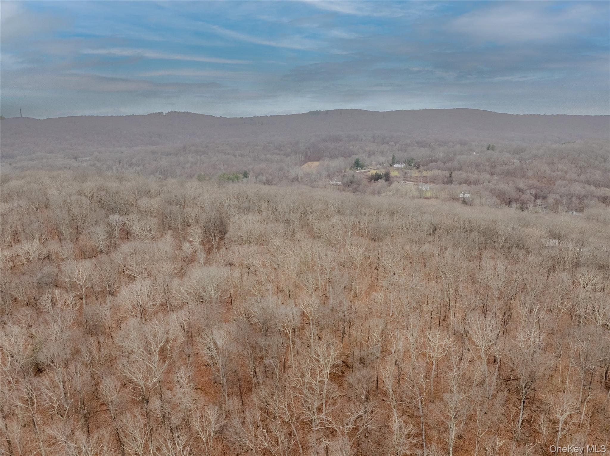 #4 photo, 1D Margherita Drive, Pawling , NY 12564