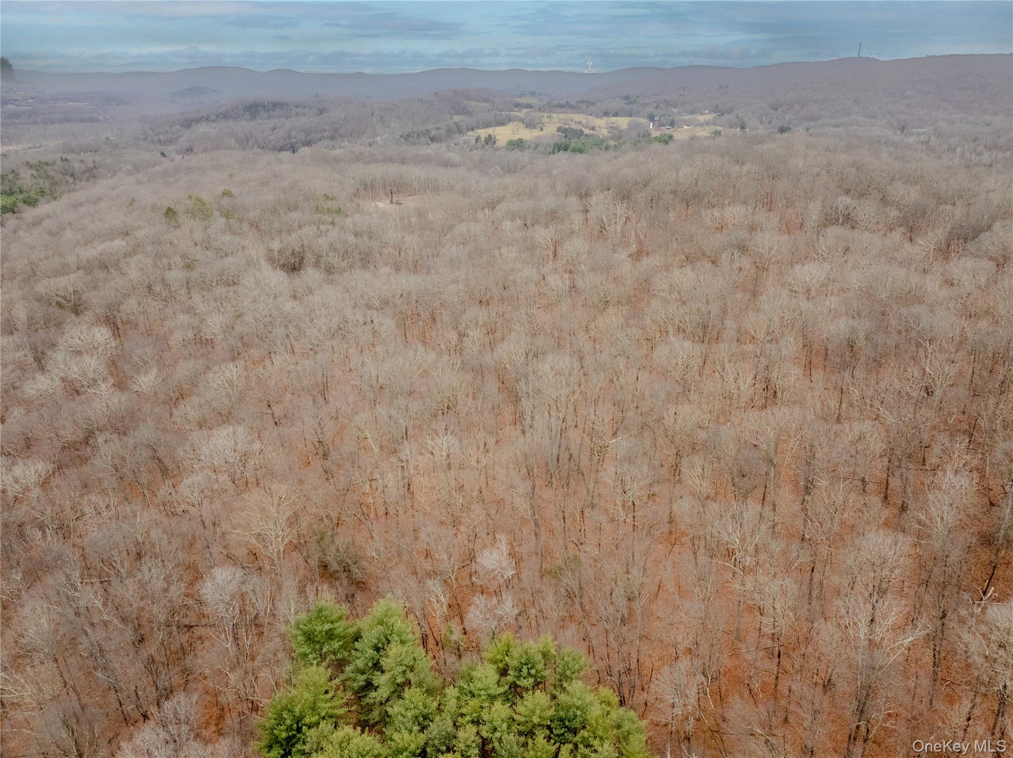 #1 photo, 1C Margherita Drive, Pawling , NY 12564