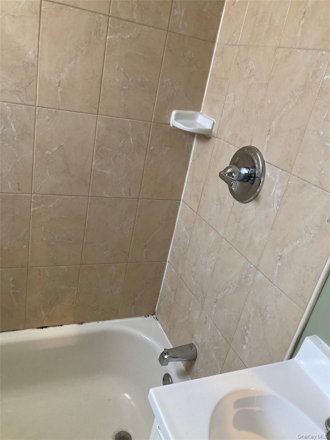 #9 photo, 1326 Citizen Avenue, Elmont , NY 11003