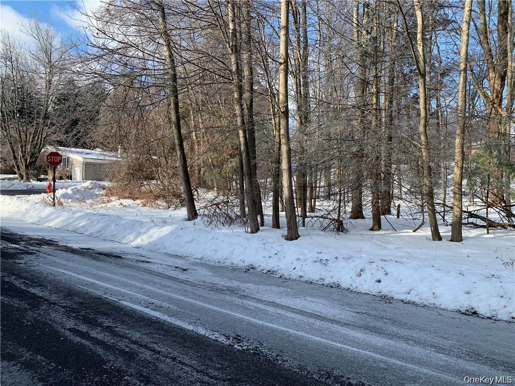 #1 photo, Floral Drive, 纽约州 Monticello , NY 12701