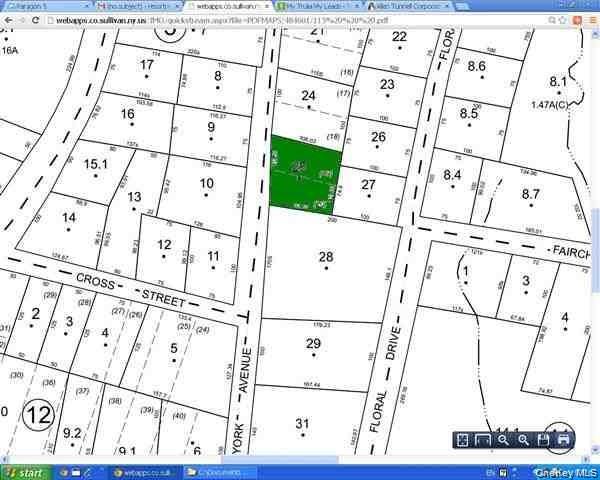 #2 photo, Floral Drive, 纽约州 Monticello , NY 12701