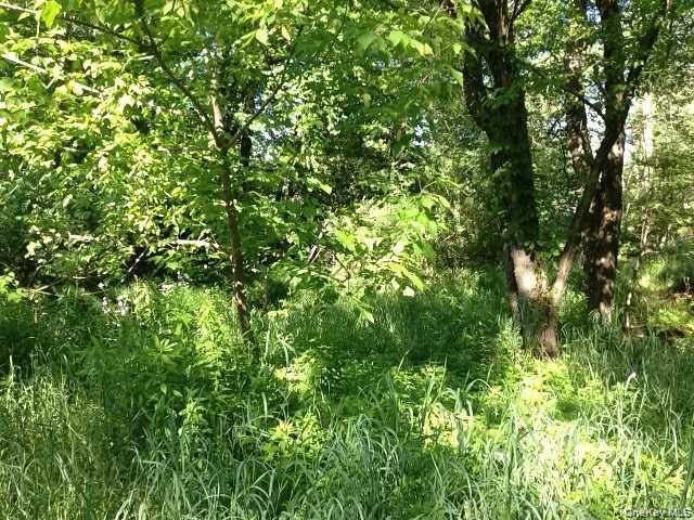 #4 photo, Floral Drive, 纽约州 Monticello , NY 12701