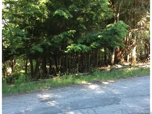 #5 photo, Floral Drive, 纽约州 Monticello , NY 12701