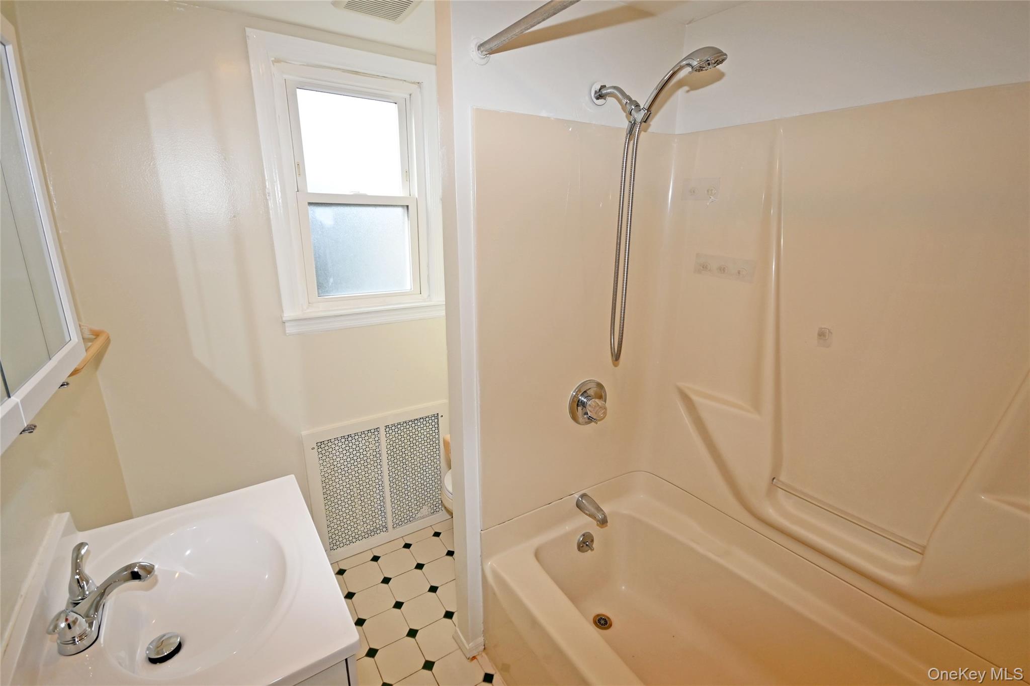 #12 photo, 1047 N 7th Street, North New Hyde Park , NY 11040