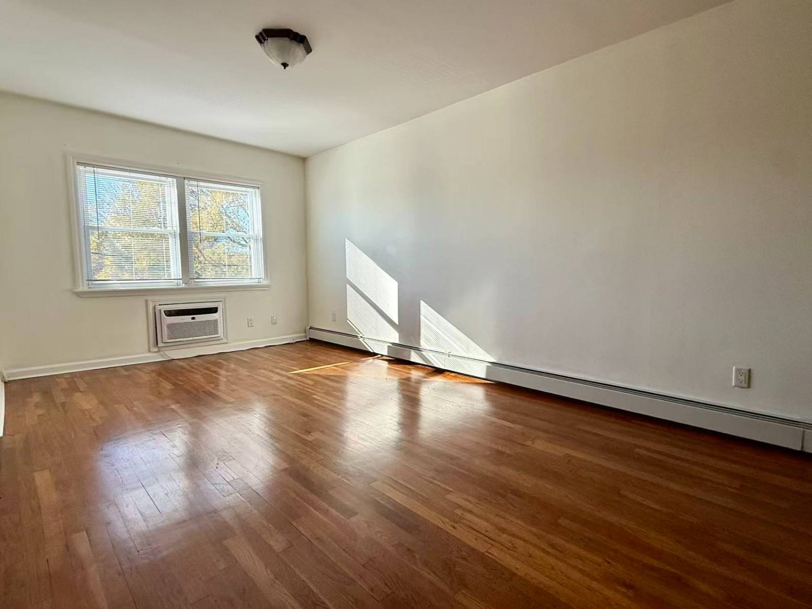 #6 photo, 61-23 75th Street, 皇后区 中村 Middle Village , NY 11379