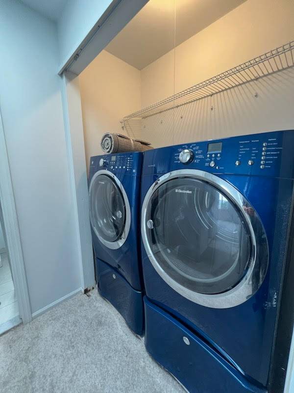 #15 photo, 264 Ward Ave, סטטן איילנד Brooklyn , NY 10304