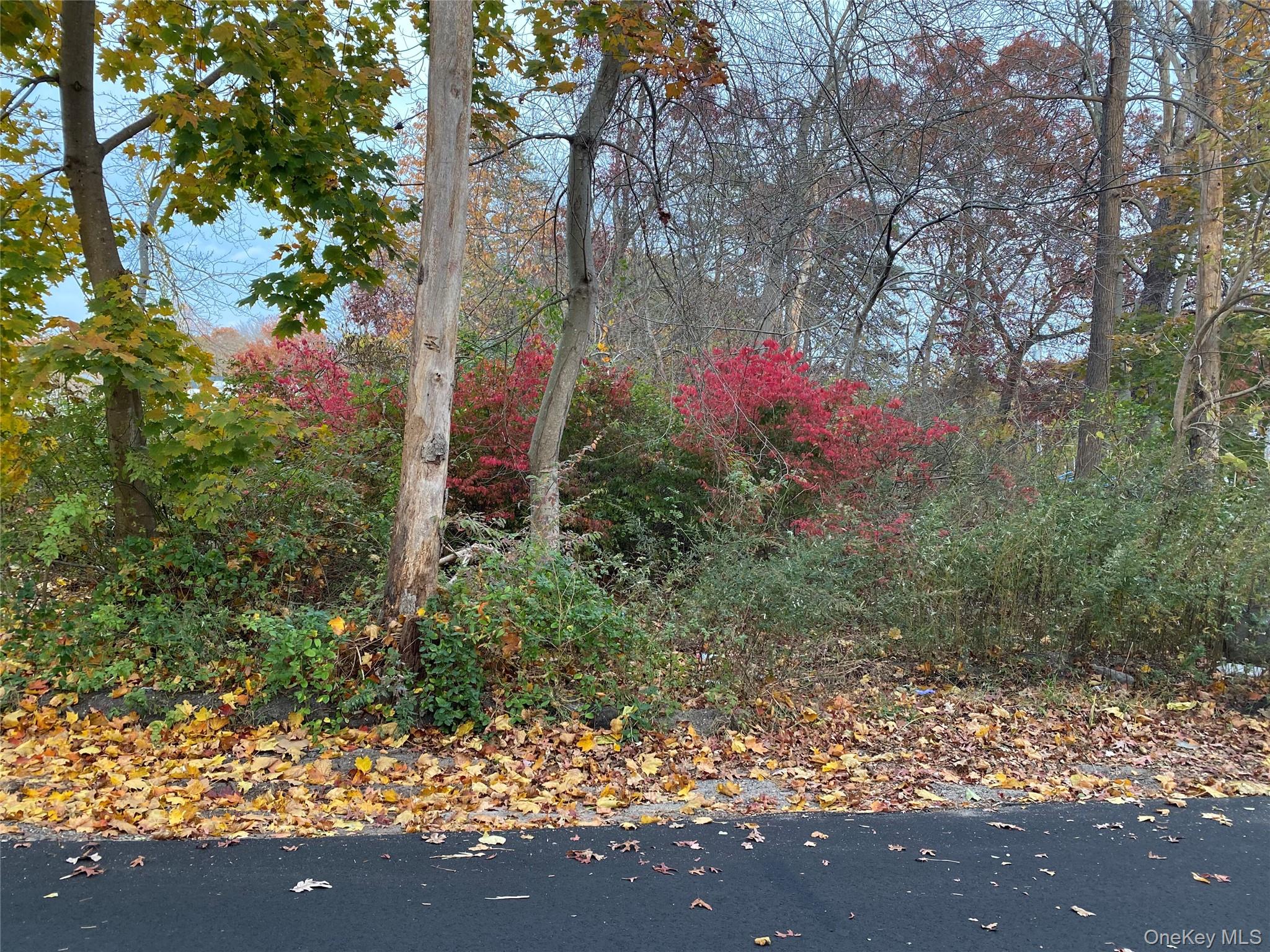 #1 photo, 74 Palmetto Drive, सफ़ोक काउंटी Shirley , NY 11967