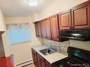 #6 photo, 259 N Newbridge Road, מחוז נסאו Levittown , NY 11756