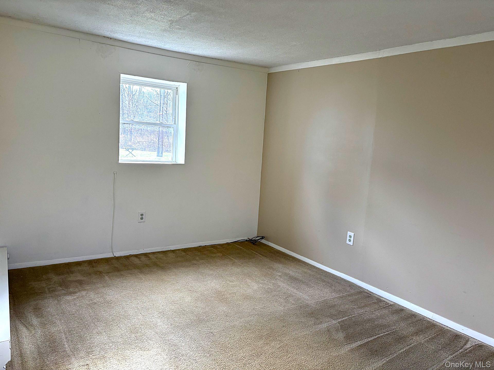 #8 photo, 2771 Route 52, Hopewell Junction , NY 12533