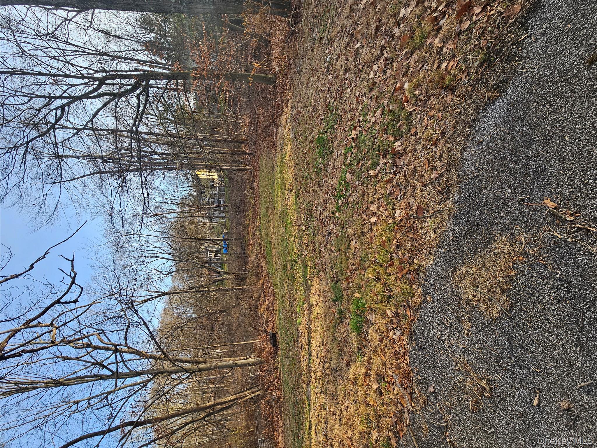 #5 photo, 177 Roosevelt Road, 뉴욕주 Hyde Park , NY 12538