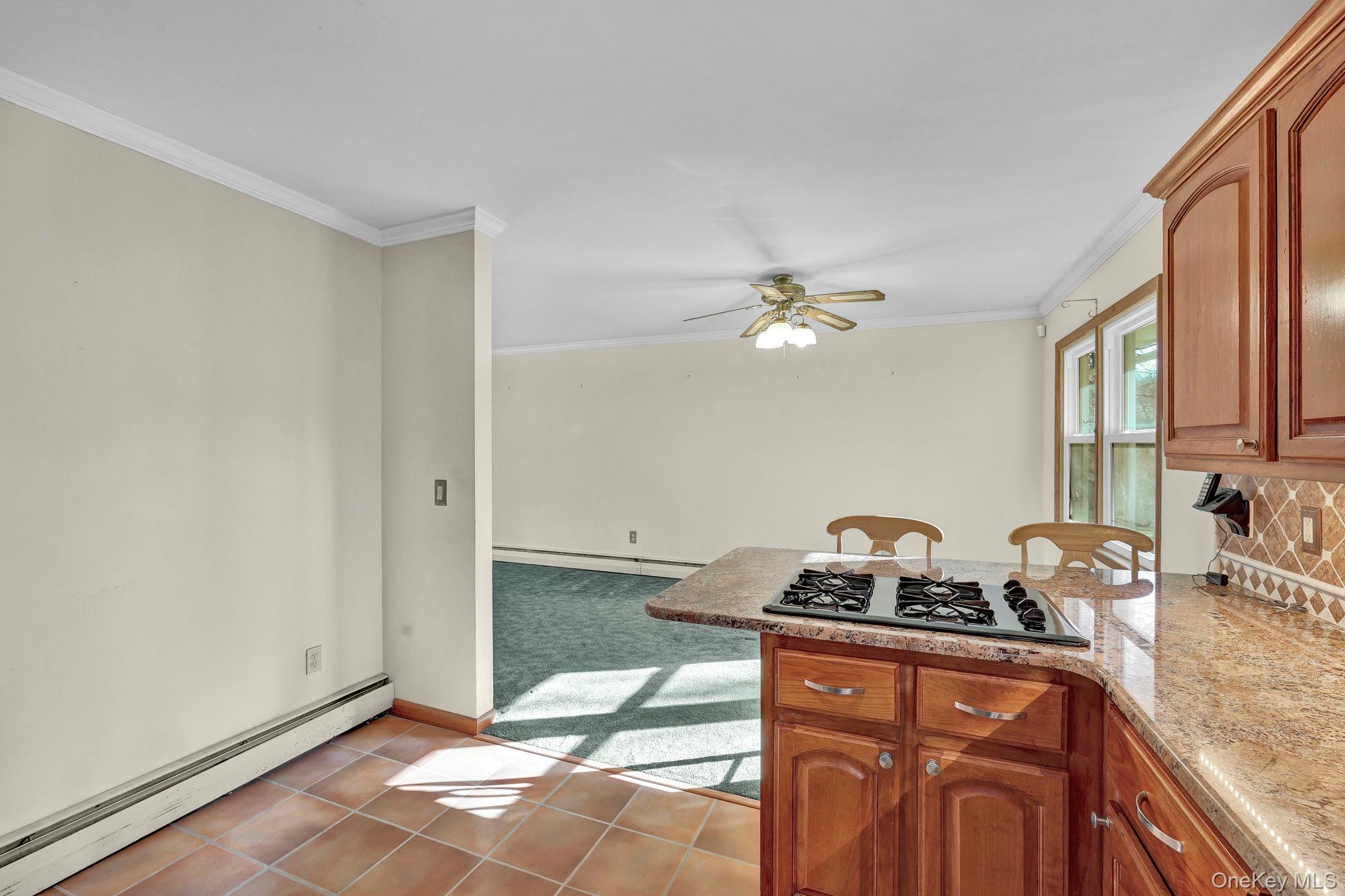 #17 photo, 21 California Drive, 纽约州 Middletown , NY 10940