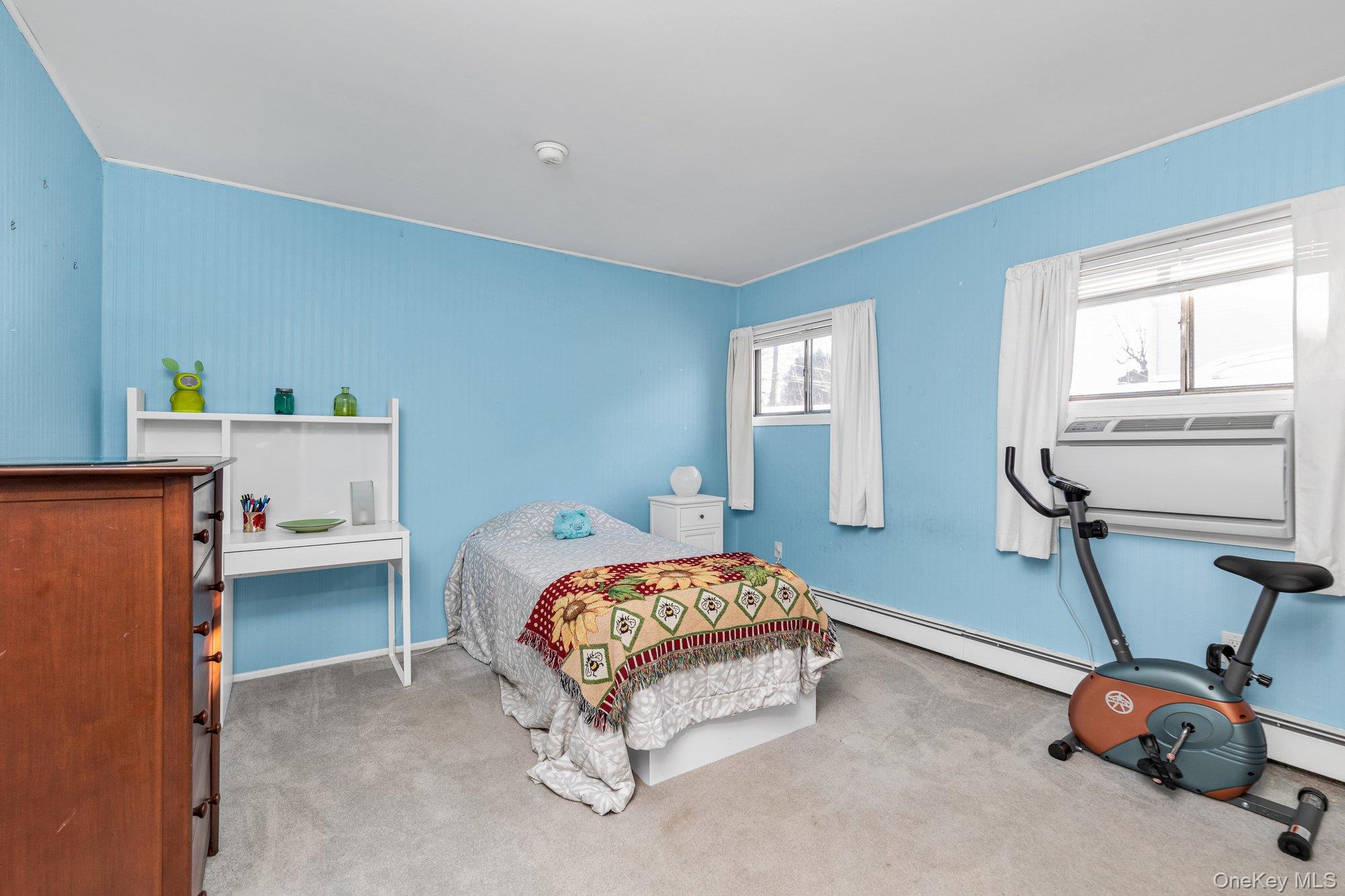 #9 photo, 25 March Lane, Westbury , NY 11590