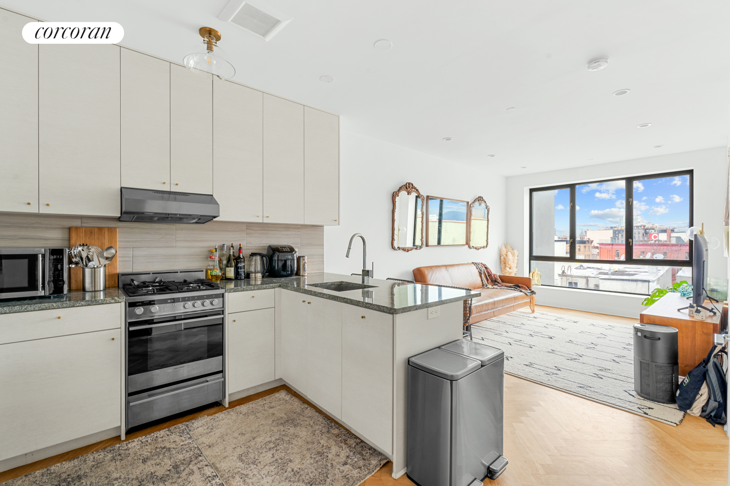 #3 photo, Brooklyn, Prospect Heights , NY 11238