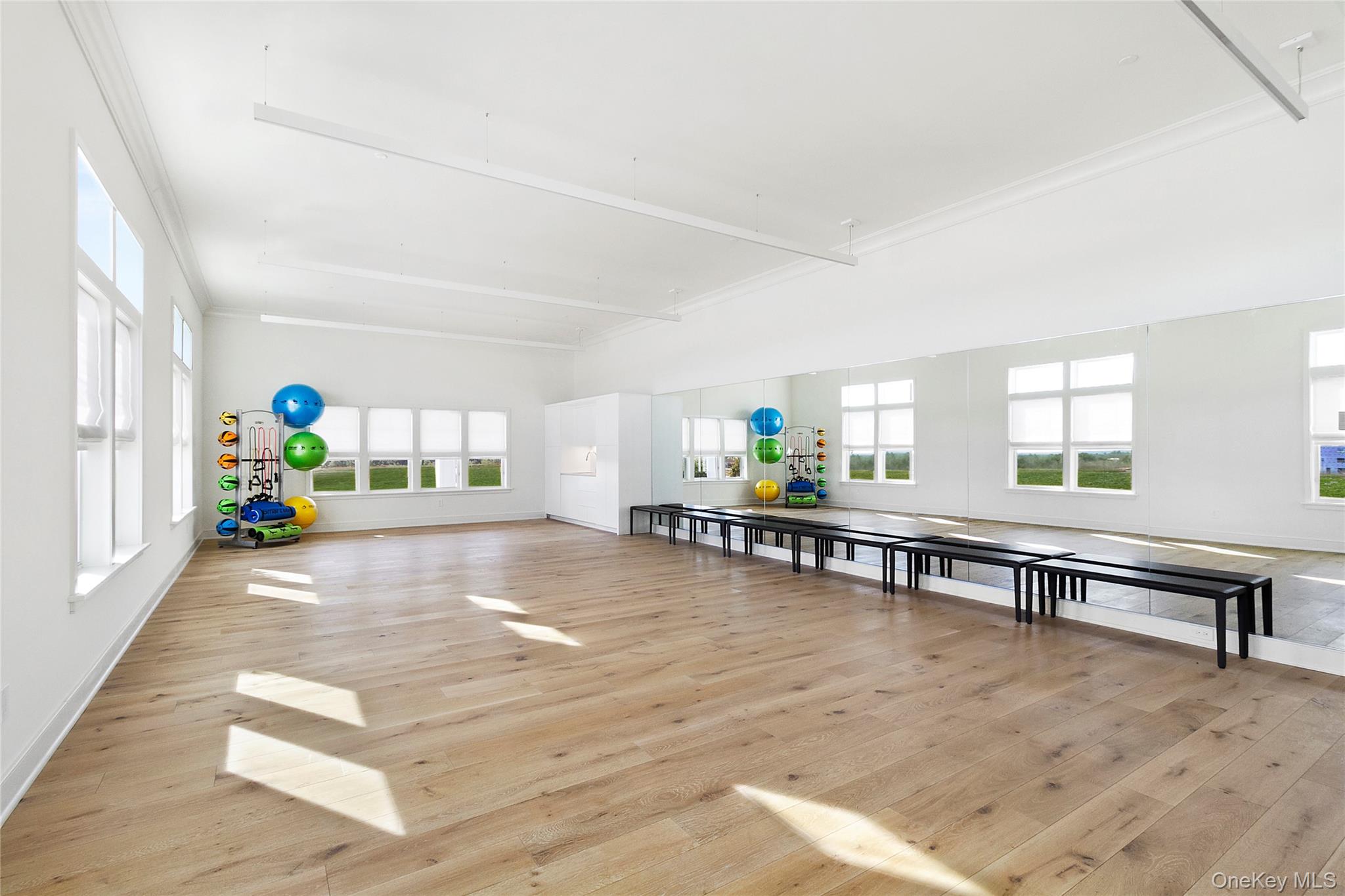 #14 photo, 329 Silver Timber Drive, 롱 아일랜드 Yaphank , NY 11980