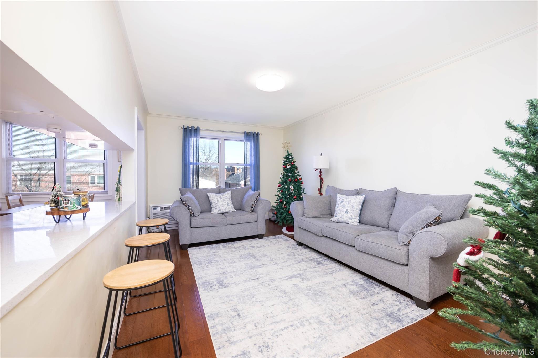 #15 photo, 8010 165th Street, Flushing , NY 11432