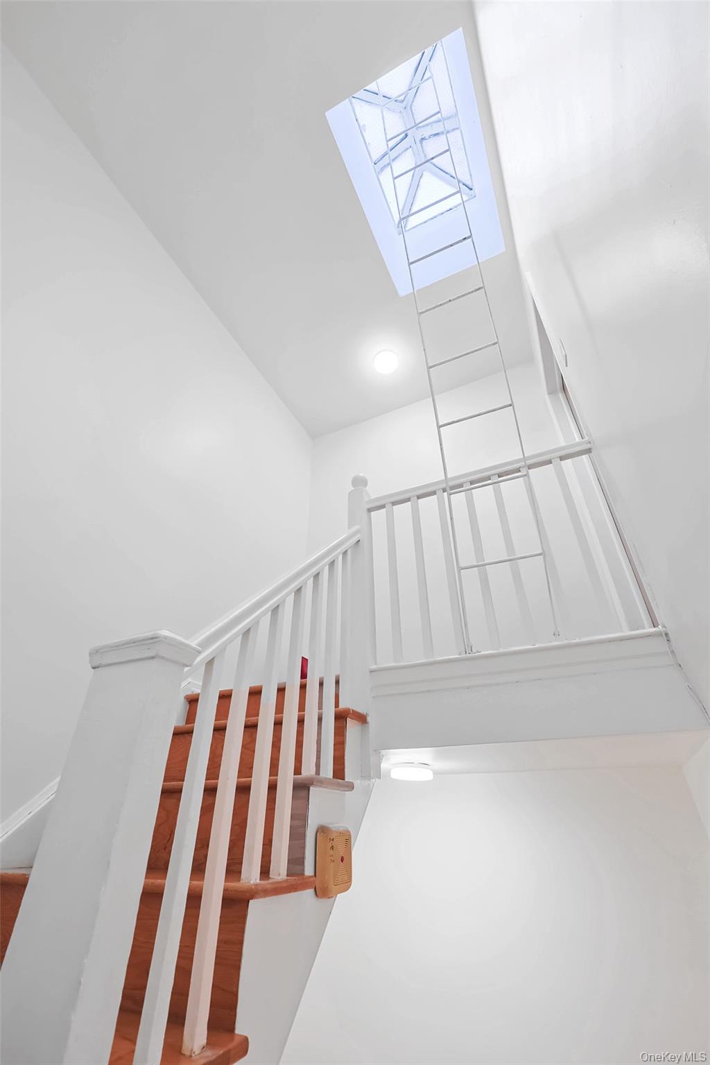 #7 photo, 8010 165th Street, Flushing , NY 11432