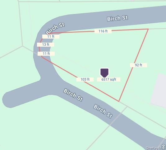 #1 photo, Birch Street, Bloomingburg , NY 12721