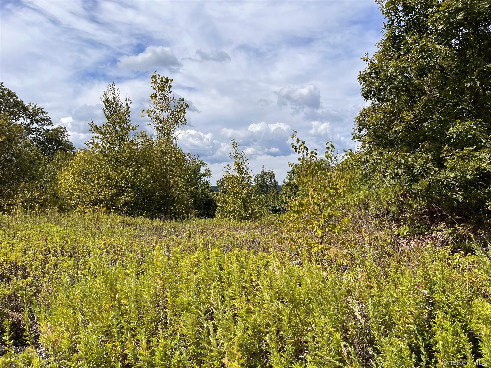 #1 photo, 31 Ridgecrest Road, Lake Peekskill , NY 10537